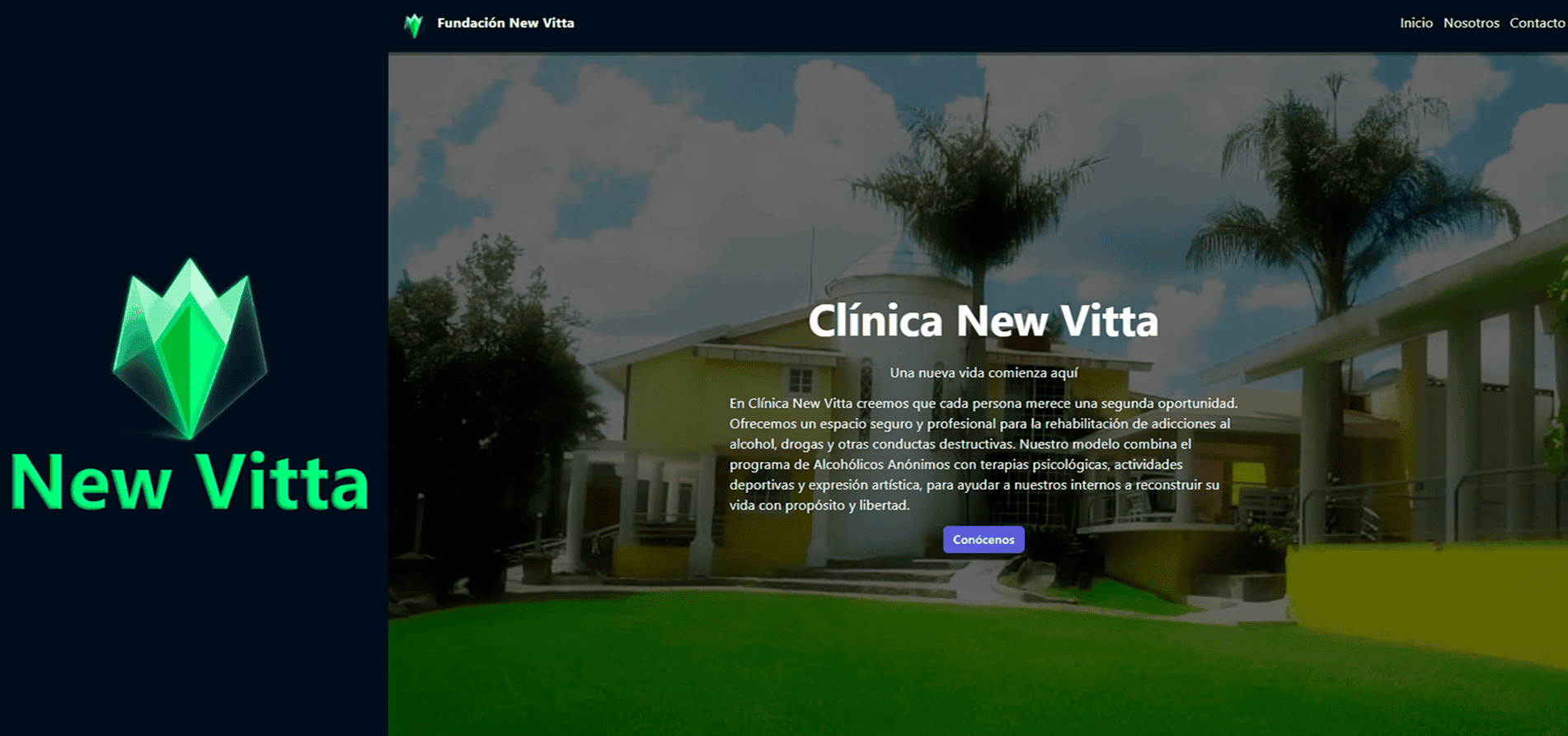 Imagen del proyecto Web New Vitta